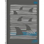 caderno-espiral-capa-dura-universitario-10-materias-d-200-folhas_127965-e5