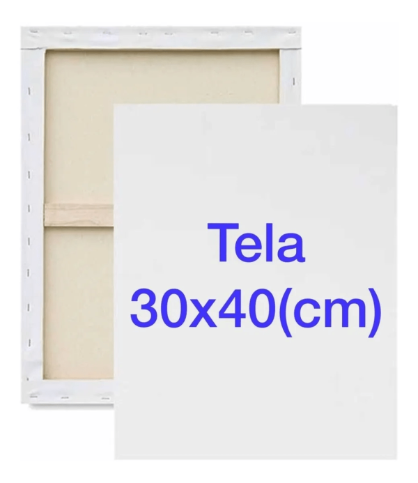 Tela para Pintura Riscada 30x40cm Barbie